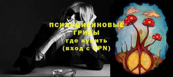 стаф Ступино
