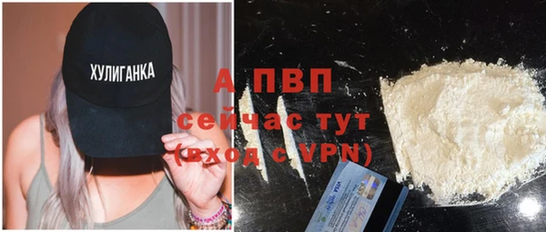 дурь Магас