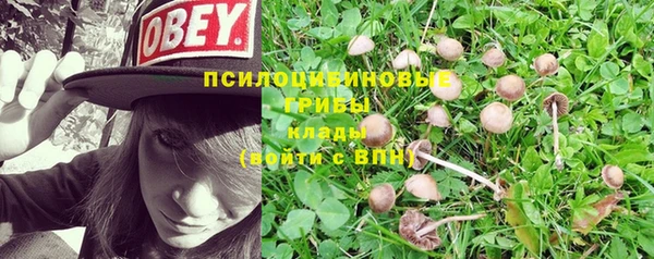 прущие крисы Струнино