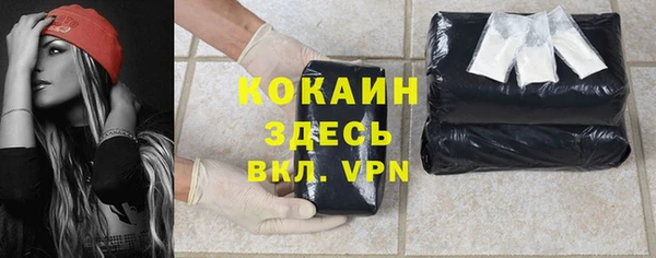 стаф Ступино