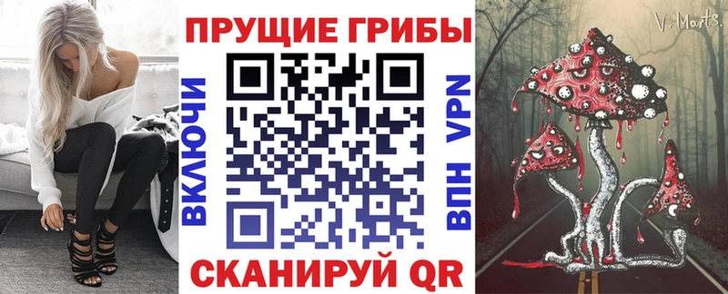 сколько стоит  Кирово-Чепецк  Псилоцибиновые грибы мицелий 